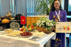 Việt Nam - Áo: ‘Bắt mạch’ dòng chảy thương mại mới thời EVFTA