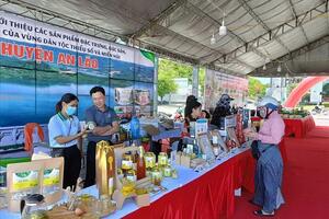 Bình Định bắc nhịp cầu tiêu thụ nông sản vùng cao