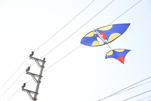 Cảnh báo hiểm họa thả diều gần đường dây điện
