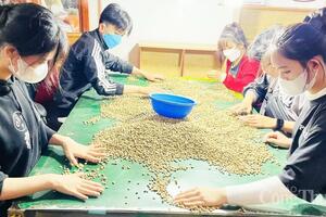 Giá cà phê hôm nay 21/4/2025, trong nước duy trì ổn định