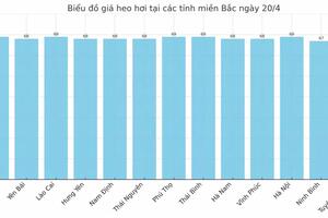 Giá heo hơi hôm nay 21/4/2025: Miền Trung giảm mạnh