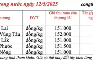 Giá tiêu hôm nay 12/5/2025, ở Bà Rịa Vũng Tàu cao nhất