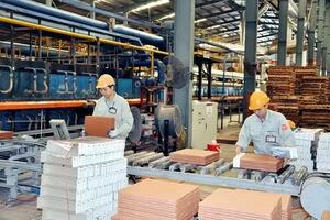 Cần đột phá thể chế để phát triển kinh tế tư nhân