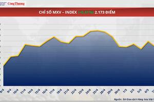 Giá cà phê xuất khẩu giảm mạnh gần 4%