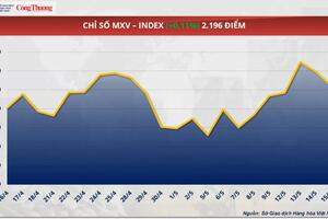 Giá cà phê Robusta giảm về dưới mốc 4.900 USD/tấn