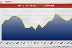 Giá đậu tương nối dài đà tăng lên mức 390 USD/tấn