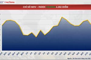 Giá cà phê Arabica giảm mạnh, Robusta mất mốc 4.800 USD/tấn