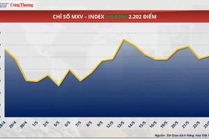 Giá cao su thế giới tăng - giảm trái chiều