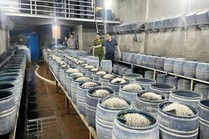 Lào Cai: Triệt phá hai cơ sở bán hơn 300 tấn giá đỗ ngâm hóa chất