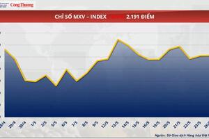 Giá cà phê Arabica tăng 0,19% tiến sát mốc 8.000 USD/tấn