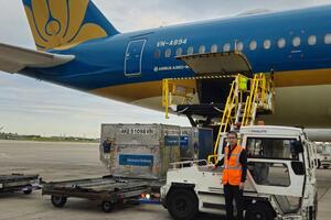 Vải tươi Việt Nam đến Paris: Tín hiệu khởi đầu lạc quan