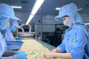 Tận dụng tốt hơn EVFTA để mở cửa thị trường cho hàng Việt Nam vào Litva