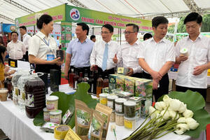 Quảng Bình tăng cường khuyến công, đẩy mạnh xúc tiến thương mại năm 2025