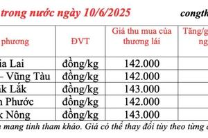 Giá tiêu hôm nay 10/6/2025: trong nước duy trì ổn định
