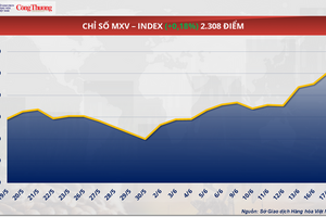 Giá cà phê Arabica giảm hơn 3% về mức 7.105 USD/tấn