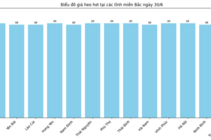 Giá heo hơi hôm nay 30/6/2025: Giảm nhẹ tại miền Trung, miền Nam