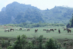 Khơi dậy bản sắc vùng cao, phát triển du lịch cộng đồng bền vững ở Lạng Sơn