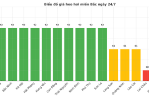 Giá heo hơi hôm nay ngày 24/7/2025: Tiếp đà trượt dài, thấp nhất 59.000 đồng/kg