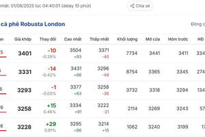 Giá cà phê hôm nay 1/8/2025: Trong nước duy trì xu hướng tăng
