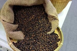 Ngăn lừa đảo thương mại quốc tế: Chuyên gia hiến kế gì?