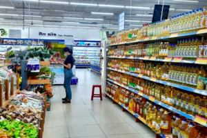 7 tháng, tổng mức bán lẻ hàng hóa và doanh thu dịch vụ tiêu dùng tăng 9,3%