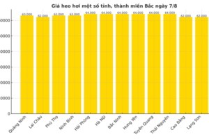Giá heo hơi hôm nay 7/8/2025: Khu vực miền Nam kéo dài chuỗi tăng