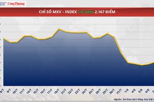Giá cà phê thế giới bật mạnh, Arabica tăng gần 9% lên 6.819 USD/tấn