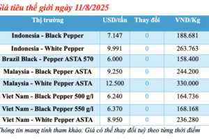 Giá tiêu hôm nay 11/8/2025:  Đi ngang trong phiên đầu tuần