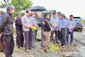 Gia Lai ‘chạy nước rút’ về đích giải phóng mặt bằng dự án nghìn tỷ