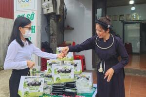 Xúc tiến thương mại mở lối tiêu thụ cho sản phẩm vùng đồng bào dân tộc Cao Bằng