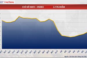 Giá ngô tiếp tục giảm sâu, xuống còn 146 USD/tấn