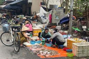 Hà Nội lập lộ trình xử lý chợ cóc, chợ tạm và cơ sở giết mổ nhỏ lẻ