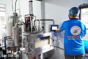 Mở rộng sản xuất, tạo việc làm cho lao động địa phương