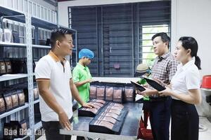 Agribank đồng hành cùng nền nông nghiệp xanh, sạch, hiện đại