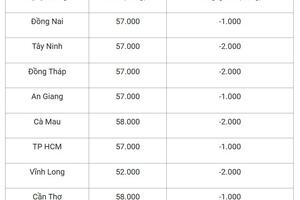 Giá heo hơi hôm nay 28/8/2025: Miền Trung, miền Nam giảm mạnh