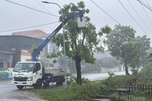 Thanh Hóa: Thống kê thiệt hại ban dầu do bão số 5 gây ra