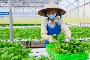 Hà Nội thúc đẩy nông nghiệp đa giá trị, hướng tới phát triển bền vững