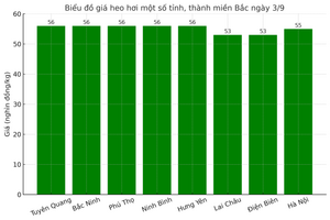 Giá heo hơi hôm nay 3/9/2025: Duy trì ổn định