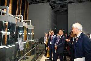 Tăng cường hợp tác quốc tế, đưa Nhà triển lãm Việt Nam bứt tốc