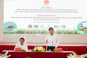 Hướng tới nền nông nghiệp xanh từ mô hình lúa chất lượng cao