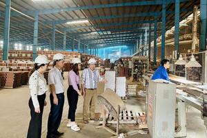 Thực thi Nghị quyết 70 trong giảm phát thải và hiệu quả năng lượng