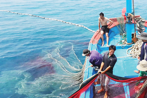 Gỡ 'thẻ vàng' IUU, thủy sản Việt quyết tâm lấy lại 'thước đo' EU