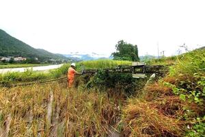 Thủ tướng giao Bộ Công Thương khẩn trương khắc phục điện lưới sau bão số 10