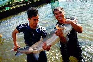 Các HTX Đam Rông nâng tầm nông sản, mở rộng thị trường tiêu thụ