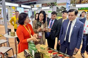 Chương trình GoGlobal: Nơi chắp cánh cho những ‘đại bàng’ kinh tế