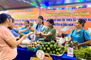 Phiên chợ Gia Lai mở lối tiêu thụ sản phẩm vùng đồng bào dân tộc