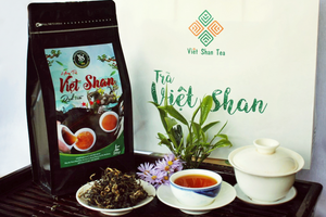 Trà Việt Shan: Tạo sinh kế bền vững cho đồng bào Mông, Dao đỏ