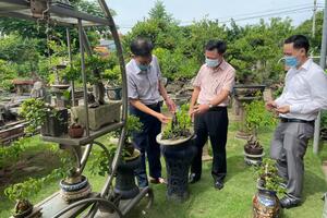 Biến nông thôn Hà Nội thành điểm đến hấp dẫn