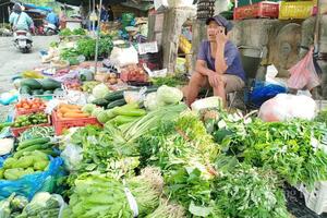 Giá rau xanh ở Hà Nội tăng 'chóng mặt' sau ngập úng