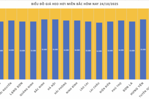 Giá heo hơi hôm nay 24/10/2025: Ổn định ở cả 3 miền